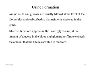 Urine Formation
• Amino acids and glucose are usually filtered at the level of the

glomerulus and reabsorbed so that neither is excreted in the
urine.
• Glucose, however, appears in the urine (glycosuria) if the
amount of glucose in the blood and glomerular filtrate exceeds
the amount that the tubules are able to reabsorb.

10/17/2013

10

 