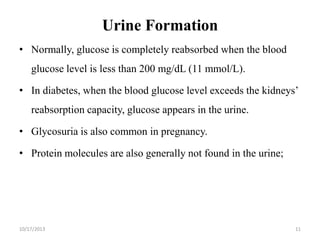 Urine Formation
• Normally, glucose is completely reabsorbed when the blood

glucose level is less than 200 mg/dL (11 mmol/L).
• In diabetes, when the blood glucose level exceeds the kidneys’

reabsorption capacity, glucose appears in the urine.
• Glycosuria is also common in pregnancy.
• Protein molecules are also generally not found in the urine;

10/17/2013

11

 
