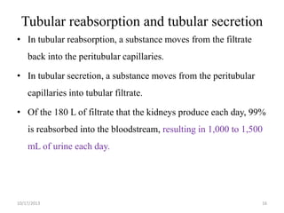 Tubular reabsorption and tubular secretion
• In tubular reabsorption, a substance moves from the filtrate

back into the peritubular capillaries.
• In tubular secretion, a substance moves from the peritubular
capillaries into tubular filtrate.
• Of the 180 L of filtrate that the kidneys produce each day, 99%
is reabsorbed into the bloodstream, resulting in 1,000 to 1,500
mL of urine each day.

10/17/2013

16

 