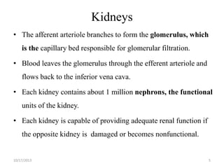 Kidneys
• The afferent arteriole branches to form the glomerulus, which

is the capillary bed responsible for glomerular filtration.
• Blood leaves the glomerulus through the efferent arteriole and

flows back to the inferior vena cava.
• Each kidney contains about 1 million nephrons, the functional
units of the kidney.
• Each kidney is capable of providing adequate renal function if
the opposite kidney is damaged or becomes nonfunctional.

10/17/2013

5

 