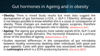 What is Hol+? Holistic approach to stress, hormones and weight