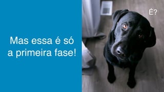 Mas essa é só
a primeira fase!
É?
 