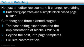 Gutenberg: Revolutionizing your WordPress site Slide 11