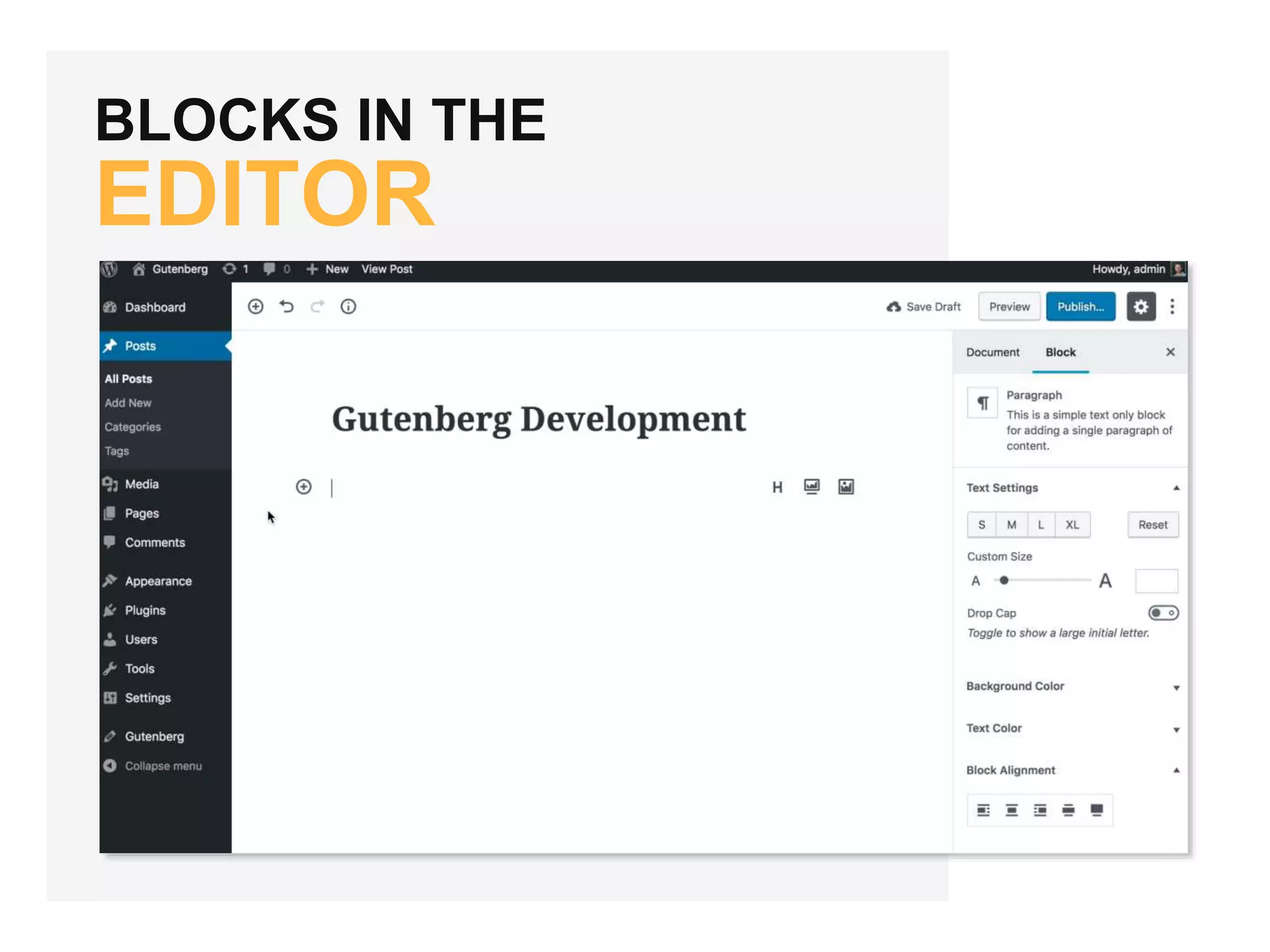 BLOCKS IN THE
EDITOR
 