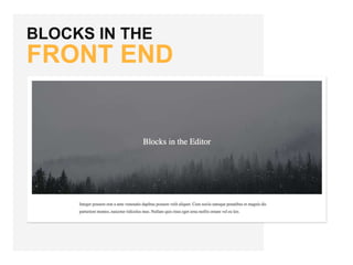 BLOCKS IN THE
FRONT END
 