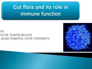 Gut flora and its role in
immune function
BY
ST.DR: HARITH RIYADH
AKAKI TSERETELI ATSTE UNIVERSITY
 