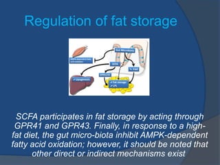 Regulation of fat storage
SCFA participates in fat storage by acting through
GPR41 and GPR43. Finally, in response to a high-
fat diet, the gut micro-biota inhibit AMPK-dependent
fatty acid oxidation; however, it should be noted that
other direct or indirect mechanisms exist
 