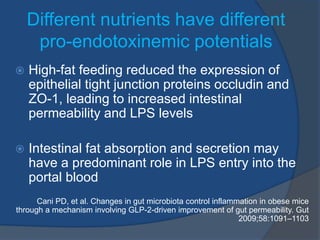 Different nutrients have different
pro-endotoxinemic potentials
 High-fat feeding reduced the expression of
epithelial tight junction proteins occludin and
ZO-1, leading to increased intestinal
permeability and LPS levels
 Intestinal fat absorption and secretion may
have a predominant role in LPS entry into the
portal blood
Cani PD, et al. Changes in gut microbiota control inflammation in obese mice
through a mechanism involving GLP-2-driven improvement of gut permeability. Gut
2009;58:1091–1103
 