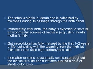  The fetus is sterile in uterus and is colonized by
microbes during its passage through the birth canal
 Immediately after birth, the baby is exposed to several
environmental sources of bacteria (e.g., skin, mouth,
mother’s milk)
 Gut micro-biota has fully matured by the first 1–2 years
of life, coinciding with the weaning from the high-fat
milk diet to the solid high-carbohydrate diet
 thereafter remains substantially constant throughout
the individual’s life and fluctuates around a core of
stable colonizers.
 
