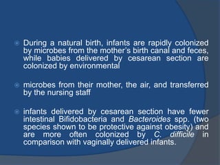  During a natural birth, infants are rapidly colonized
by microbes from the mother’s birth canal and feces,
while babies delivered by cesarean section are
colonized by environmental
 microbes from their mother, the air, and transferred
by the nursing staff
 infants delivered by cesarean section have fewer
intestinal Bifidobacteria and Bacteroides spp. (two
species shown to be protective against obesity) and
are more often colonized by C. difficile in
comparison with vaginally delivered infants.
 