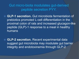 Gut micro-biota modulates gut-derived
peptide secretion PYY.
 GLP-1 secretion. Gut microbiota fermentation of
prebiotics promoted L-cell differentiation in the
proximal colon of rats and increased glucagon-like
peptide (GLP)-1 response to a meal in healthy
humans
 GLP-2 secretion. Recent experimental data
suggest gut microbiota may modulate gut barrier
integrity and endotoxinemia through GLP-2
 