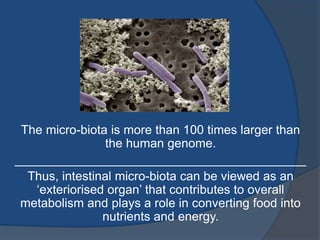 The micro-biota is more than 100 times larger than
the human genome.
__________________________________________
Thus, intestinal micro-biota can be viewed as an
‘exteriorised organ’ that contributes to overall
metabolism and plays a role in converting food into
nutrients and energy.
 