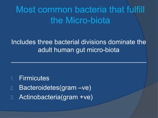 Most common bacteria that fulfill
the Micro-biota
Includes three bacterial divisions dominate the
adult human gut micro-biota
_____________________________________
1. Firmicutes
2. Bacteroidetes(gram –ve)
3. Actinobacteria(gram +ve)
 