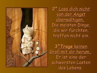 2°  Lass dich nicht von der Angst überwältigen .   Die meisten Dinge, die wir fürchten, treffen nicht ein.   3 °Trage  keinen Groll mit dir herum .   Er ist eine der schwersten Lasten des Lebens.  