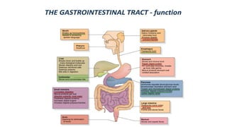 Role of Gut Health and Non Communicable disease .pptx