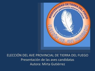 ELECCIÓN DEL AVE PROVINCIAL DE TIERRA DEL FUEGO
Presentación de las aves candidatas
Autora: Mirta Gutiérrez
 