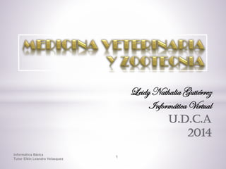 Leidy Nathalia Gutiérrez
Informática Virtual
U.D.C.A
2014
Informática Básica
Tutor Elkin Leandro Velasquez
1
 