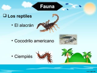  Los reptiles
• El alacrán
• Cocodrilo americano
• Ciempiés
 