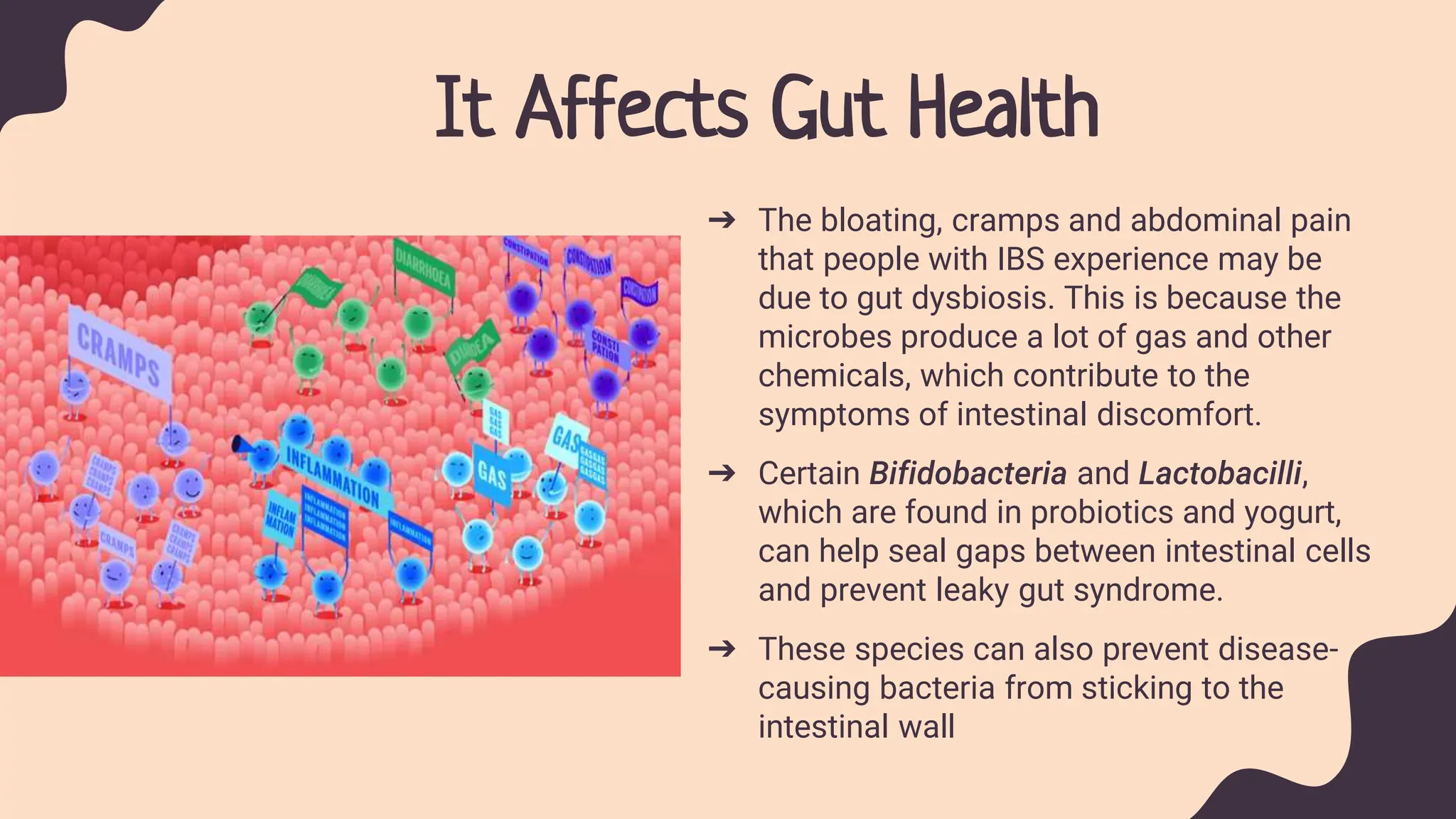 It Affects Gut Health
➔ The bloating, cramps and abdominal pain
that people with IBS experience may be
due to gut dysbiosis. This is because the
microbes produce a lot of gas and other
chemicals, which contribute to the
symptoms of intestinal discomfort.
➔ Certain Bifidobacteria and Lactobacilli,
which are found in probiotics and yogurt,
can help seal gaps between intestinal cells
and prevent leaky gut syndrome.
➔ These species can also prevent disease-
causing bacteria from sticking to the
intestinal wall
 