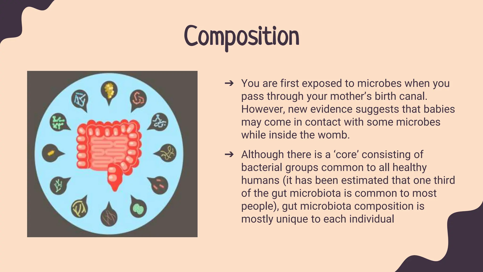 Composition
➔ You are first exposed to microbes when you
pass through your mother’s birth canal.
However, new evidence suggests that babies
may come in contact with some microbes
while inside the womb.
➔ Although there is a ‘core’ consisting of
bacterial groups common to all healthy
humans (it has been estimated that one third
of the gut microbiota is common to most
people), gut microbiota composition is
mostly unique to each individual
 