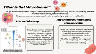 Gut Microbiome in Human Health and Disease - M.Sc 2nd yr student ...