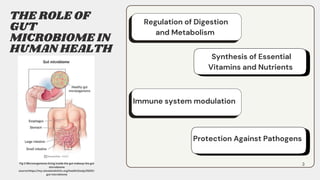 Gut Microbiome in Human Health and Disease - M.Sc 2nd yr student ...