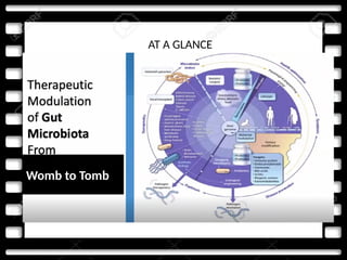 AT A GLANCE
Womb to Tomb
 