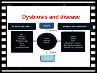 EXTERNAL INFLUENCES HEALTH INTERNAL HOST PROPERTIES
Diet
Prebiotics
Probiotics
Antibiotic usage
Illness
Lifestyle
Living environment
Density
Diversity
Activity
Ageing
Genetics
Stress
Physiologic processes
Digestive tract: Anatomy
Digestive tract: Physiology
DISEASES
 