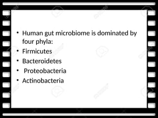 • Human gut microbiome is dominated by
four phyla:
• Firmicutes
• Bacteroidetes
• Proteobacteria
• Actinobacteria
 