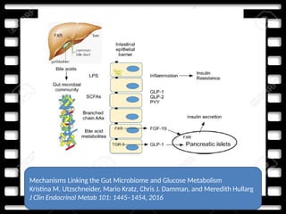 Mechanisms Linking the Gut Microbiome and Glucose Metabolism
Kristina M. Utzschneider, Mario Kratz, Chris J. Damman, and Meredith Hullarg
J Clin Endocrinol Metab 101: 1445–1454, 2016
 