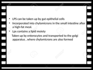 • LPS can be taken up by gut epithelial cells
• Incorporated into chylomicrons in the small intestine after
a high-fat meal.
• Lps contains a lipid moiety
Taken up by enterocytes and transported to the golgi
apparatus , where chylomicrons are also formed
 