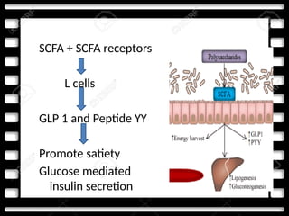 SCFA + SCFA receptors
L cells
GLP 1 and Peptide YY
Promote satiety
Glucose mediated
insulin secretion
 