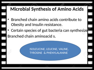 Microbial Synthesis of Amino Acids
• Branched chain amino acids contribute to
Obesity and Insulin resistance.
• Certain species of gut bacteria can synthesize
Branched chain aminoacid s.
ISOLEUCINE, LEUCINE, VALINE,
TYROSINE & PHENYLALANINE
 
