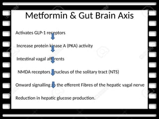 Metformin & Gut Brain Axis
• Activates GLP-1 receptors
• Increase protein kinase A (PKA) activity
• Intestinal vagal afferents
• NMDA receptors - nucleus of the solitary tract (NTS)
• Onward signalling to the efferent Fibres of the hepatic vagal nerve
• Reduction in hepatic glucose production.
 