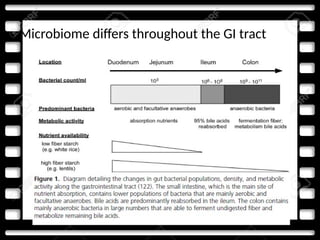 Microbiome differs throughout the GI tract
 