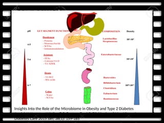 COMPOSITION
Insights Into the Role of the Microbiome in Obesity and Type 2 Diabetes
Annick V. Hartstra, Kristien E.C. Bouter, Fredrik Bäckhed and Max Nieuwdorp
Diabetes Care 2015 Jan; 38(1): 159-165
 