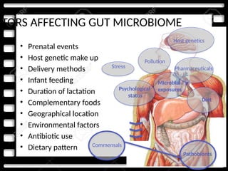 CTORS AFFECTING GUT MICROBIOME
• Prenatal events
• Host genetic make up
• Delivery methods
• Infant feeding
• Duration of lactation
• Complementary foods
• Geographical location
• Environmental factors
• Antibiotic use
• Dietary pattern
Pollution
Pharmaceuticals
Microbial
exposures
Psychological
status
Diet
Stress
Commensals
Pathobionts
Host genetics
 