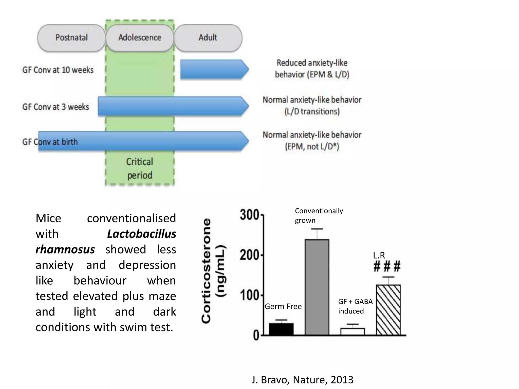 Mice
conventionalised
with
Lactobacillus
rhamnosus showed less
anxiety and depression
like
behaviour
when
tested elevated plus maze
and light and dark
conditions with swim test.

Conventionally
grown

L.R

Germ Free

GF + GABA
induced

J. Bravo, Nature, 2013

 