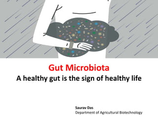 Gut Microbiota
A healthy gut is the sign of healthy life

Saurav Das
Department of Agricultural Biotechnology

 