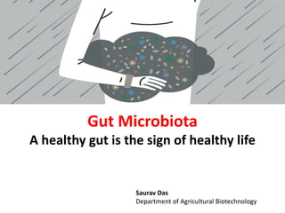 Gut Microbiota And Obesity Ppt
