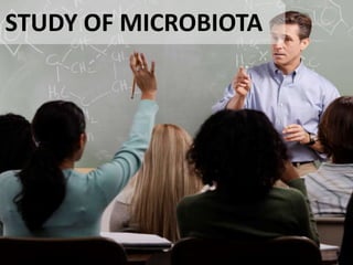 STUDY OF MICROBIOTA
 