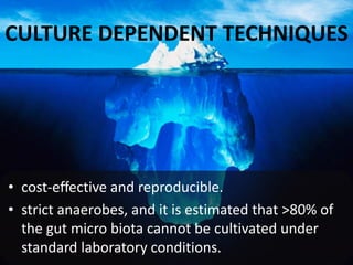 CULTURE DEPENDENT TECHNIQUES
• cost-effective and reproducible.
• strict anaerobes, and it is estimated that >80% of
the gut micro biota cannot be cultivated under
standard laboratory conditions.
 