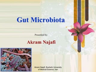 Akram Najafi, Bushehr University
of Medical Science, Iran
Gut Microbiota
Presented by:
Akram Najafi
 