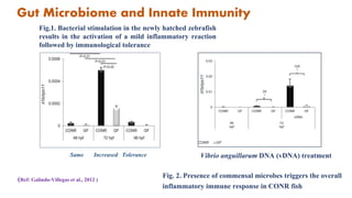 Gut microbiome and host health | PPTX