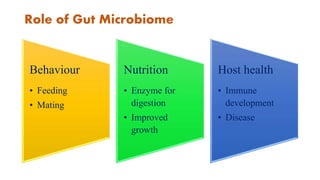 Gut microbiome and host health | PPTX