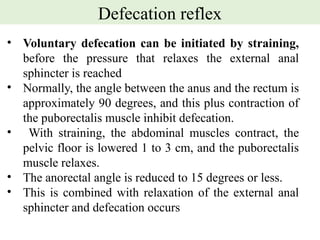 Gut Motility : Oesophagus to the rectum. | PPTX