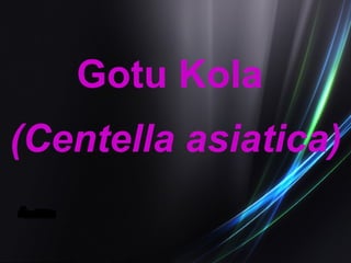 Gotu Kola (Centella asiatica) 