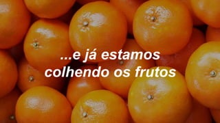 ...e já estamos
colhendo os frutos
 