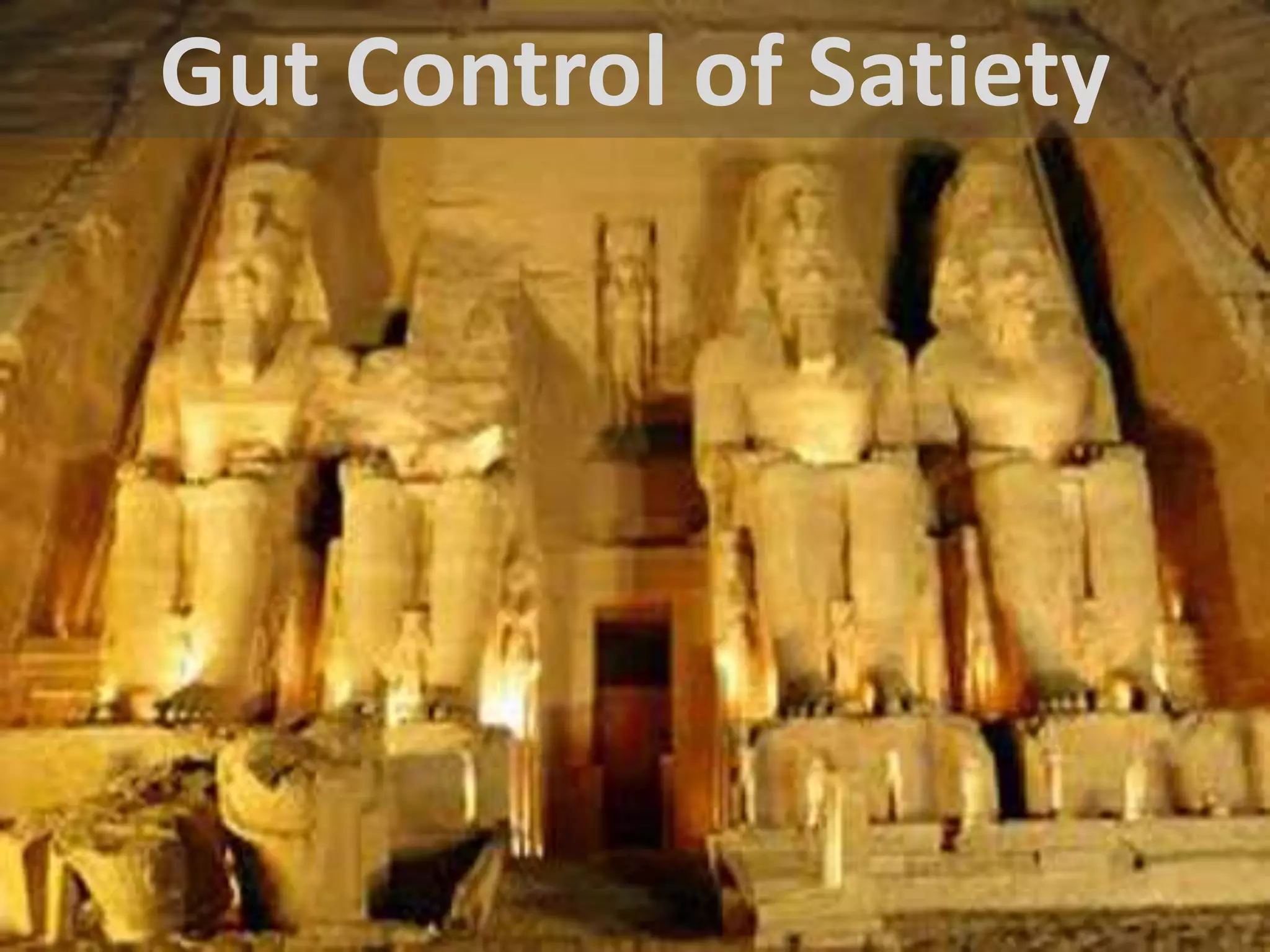 Gut Control of Satiety

 