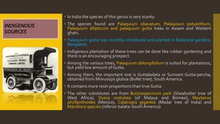  In India the species of this genus is very scanty.
 The species found are Palaquium obavatum, Palaquium polyanthum,
Palaquium ellipticum and palaquium gutta trees in Assam and Western
ghats.
 Palaquium gutta was recently introduced and planted in Botanical gardens,
Bangalore.
 Indigenous plantation of these trees can be done like rubber gardening and
there is an encouraging prospect.
 Among the various trees, Palaquium oblongifolium is suited for plantations,
but yield low amount of Gutta.
 Among them, the important one is Guttabalata or Surinam Gutta-percha,
obtained from Mimusops globsa (Bullet tree), South America.
 It contains more resin proportions than true Gutta.
 The other substitutes are from Butyrospermum park (Sheabutter tree of
West Africa), Dyera costulata (of Malaya and Borneo), Maytenus
phyllanthoides (Mexico), Calatropis giganlea (Madar tree of India) and
Manilkara species (inferior balata-SouthAmerica)
INDIGENOUS
SOURCES
 